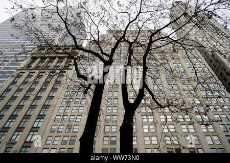 Bäume vor dem Metropolitan Life Insurance Company Tower, bekannt als die Met Life Tower (rechts), und der Metropolitan Life North Building, bekannt als Elf Madison (links). Flatiron District, Madison Square Park, Manhattan, New York City, New York, Vereinigte Staaten von Amerika Stockfoto