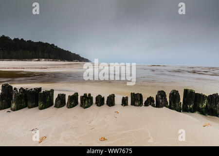 Europa, Polen, Pommern, Natac Wielka Stockfoto