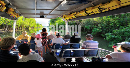 Nachmittag und Sunset Cruise sightseeing Yellow Water Cruise auf dem berühmten Yellow Water Billabong, (gelbes Wasser Creek) im Kakadu National Park Stockfoto