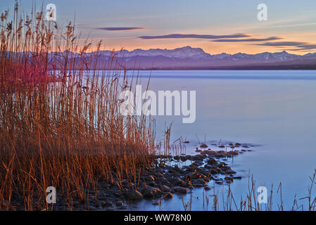 Abendstimmung, den Ammersee in der Nähe von Herrsching, Zugspitze und Wettersteingebirge im Hintergrund, Oberbayern, Bayern, Deutschland Stockfoto