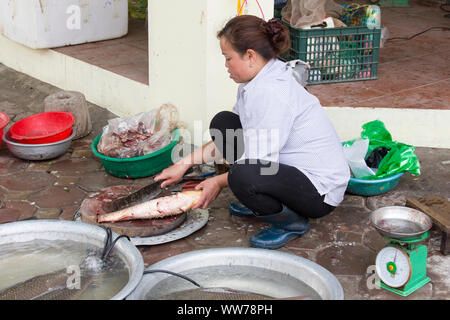 Hanoi, Vientam - Januar 04, 2017: Frau schneiden ein Fisch am Markt in Hanoi, Vietnam Stockfoto