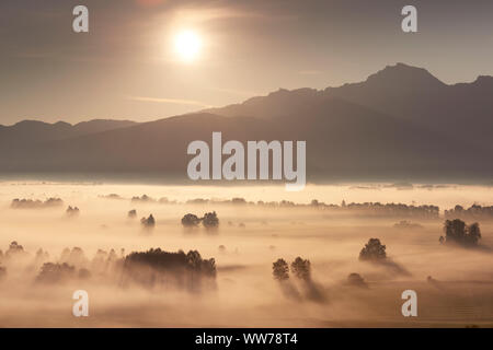 Sonnenaufgang auf dem Kochelsee und Herzogstand Mountain in der Nähe von Kochel, Oberbayern, Bayern, Deutschland Stockfoto