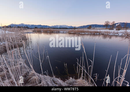 Sonnenaufgang auf dem Ach-Fluss, Uffing am Staffelsee, Ammergauer Alpen im Hintergrund, in der Nähe von Murnau, Oberbayern, Bayern, Deutschland Stockfoto