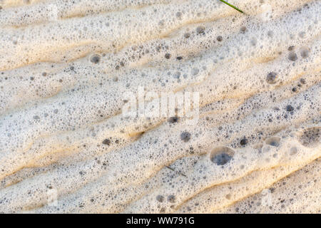 Meeresschaummuster entlang der Küste am Dunedin Causeway, Dunedin, Florida. Stockfoto