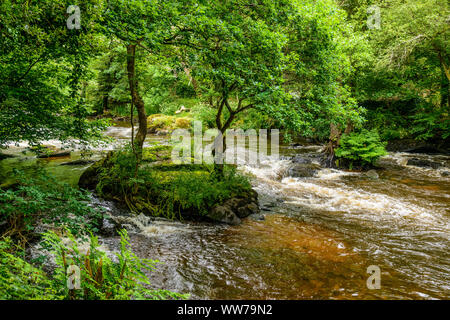 Frankreich, Bretagne, FinistÃ¨re Abteilung, Pont-Aven, Bois d'Amour, Aven River in der Nähe von Moulin de Plessis Stockfoto