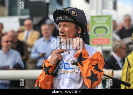 13. September 2019, Doncaster Racecourse, Doncaster, England; William Hill St Leger Festival, Herren Tag; Frankie Dettori bereitet zu Kalifornien Liebe montieren Stockfoto