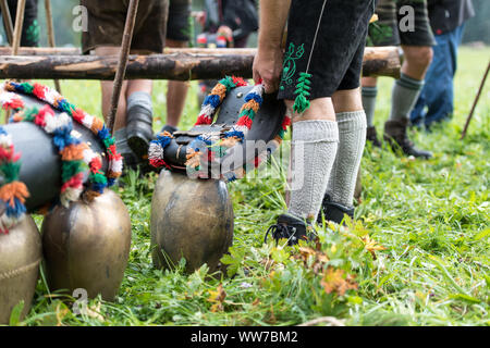 Viehscheid' nach dem Almabtrieb (zeremonielle Fahren hinunter von Rindern von der Alm ins Tal im Herbst) im Spätsommer in Bayern, Landwirt in Lederhose sortiert die Kuhglocken Stockfoto