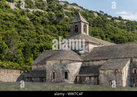 Gordes, Vaucluse, Frankreich, Abtei Notre-Dame Senanque in der Provence Stockfoto