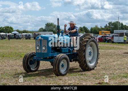 Haselbury Plucknet. Somerset. Vereinigtes Königreich. 18. August 2019. Ein Fordson Major wird rund um den Ring zu einem gestern Landwirtschaft event driven Stockfoto