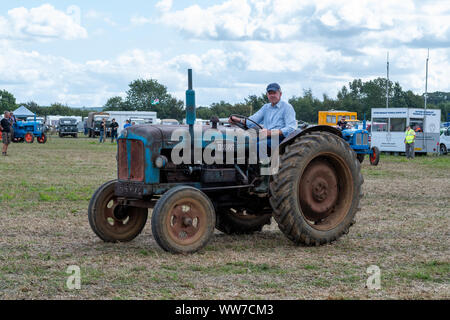 Haselbury Plucknet. Somerset. Vereinigtes Königreich. 18. August 2019. Ein Fordson Major wird rund um den Ring zu einem gestern Landwirtschaft event driven Stockfoto