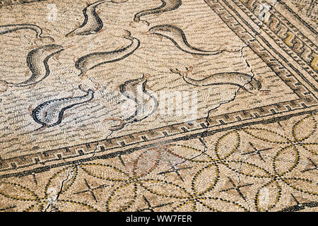 Marokko, Volubilis, antiken römischen Ausgrabungen, Haus des Orpheus, Mosaik Stockfoto