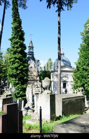 Lemberg (Lwiw, Lemberg): lychakiv Friedhof, Grab in, Oblast Lwiw, Ukraine Stockfoto