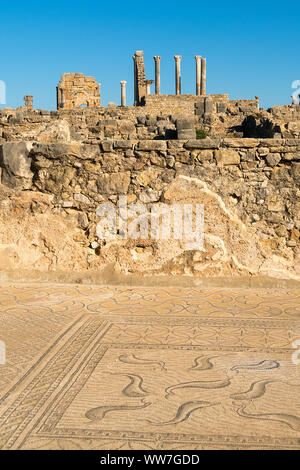 Marokko, Volubilis, antiken römischen Ausgrabungen, Haus des Orpheus, Mosaik Stockfoto