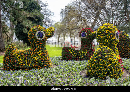 Deutschland, Baden-Württemberg, Bodensee, Bodensee, Insel Mainau, bunte Blume Kunst auf der Insel Mainau im Bodensee Stockfoto