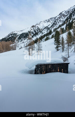 Österreich, Tirol, St. Sigmund im Sellrain, kleine verschneite Holzhütte in Sellrain Stockfoto