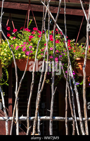 Rauen Holzstäbchen schaffen einzigartige natürliche rustikale Zaun; hängenden Blumenkörben; 114 Ost 1 St.; Salida, Colorado, USA Stockfoto