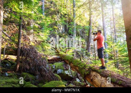 Fotograf Aufnahmen auf einen umgestürzten Baum in einem schönen, grünen Wald an einem sonnigen Sommerabend. In Squamish, nördlich von Vancouv genommen Stockfoto