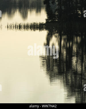 Schweden, Smaland, EksjÃ¶, Morgenstimmung am See Solgen Stockfoto