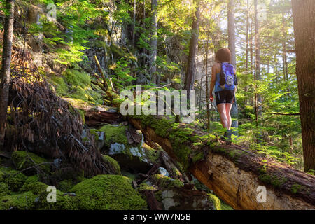 Abenteuerliche Frau Wandern auf einen umgestürzten Baum in einem schönen, grünen Wald an einem sonnigen Sommerabend. In Squamish, nördlich von Vancouver, Britisch-Zusammenarbeit Stockfoto