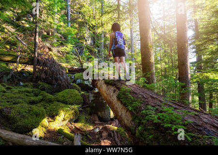 Abenteuerliche Frau Wandern auf einen umgestürzten Baum in einem schönen, grünen Wald an einem sonnigen Sommerabend. In Squamish, nördlich von Vancouver, Britisch-Zusammenarbeit Stockfoto