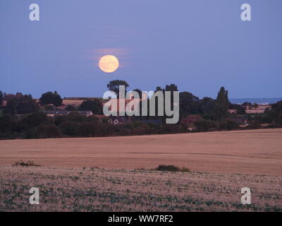 Eastchurch, Kent, Großbritannien. 13. September, 2019. UK Wetter: Die vollständige Harvest Moon gesehen steigende über historische Shurland Halle (wo Henry VIII seine Flitterwochen verbracht) in Eastchurch, Kent an diesem Abend. Credit: James Bell/Alamy leben Nachrichten Stockfoto