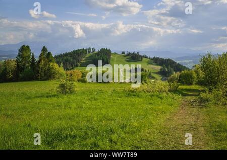 Schöner Frühling Berglandschaft. Wunderschön beleuchtet Green Hill in Polen. Stockfoto