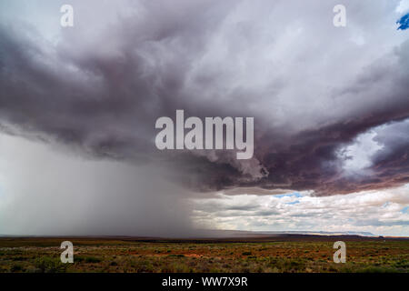 Dramatische Sturmwolken ziehen durch die Wüste, während ein Monsunwetter starken Regen in der Nähe von Chinle, Arizona, abgibt Stockfoto