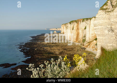 Blick von Falaise d'Amont auf den steilen Klippen in Richtung Yport im Abendlicht, Etretat, Seine-Maritime, Ärmelkanal, Normandie, Frankreich Stockfoto