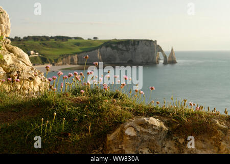 Blick auf den Rock Nadel L'Aiguille und Falaise d'Aval mit Porte d'Aval im Abendlicht, Seine-Maritime, Etretat, Normandie, Frankreich Stockfoto