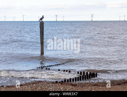 Kormoran auf einem Pfosten im Meer bei caistor am Ende der Zickzack Buhnen mit Windkraftanlagen im Meer in der Ferne Stockfoto