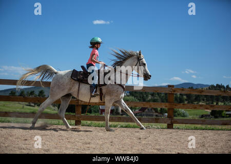 Mädchen Galopp auf Pferd in einer Arena Stockfoto