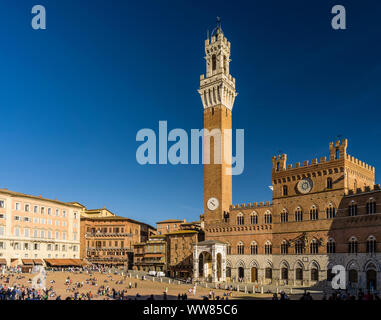 Die Piazza del Campo in Siena mit Torre del Mangia Stockfoto