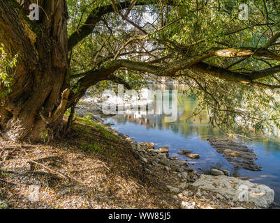 Flusslandschaft an der Aare in der Nähe von Brugg im Kanton Aargau Stockfoto