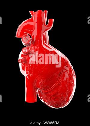 Menschliches Herz, Abbildung Stockfoto