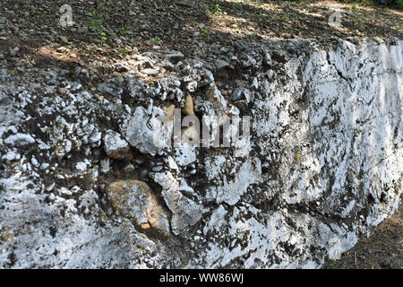 Wand mit Flechten Stockfoto