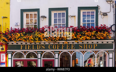 Gelb und Rot Begonia Blüten in hängenden Körben über Felder Coffee Shop Skibbereen Irland Stockfoto