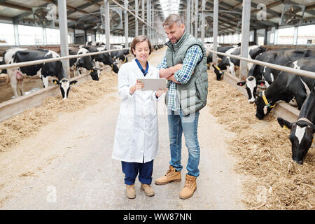 Junge weibliche Landwirt in Jungtieren diskutieren online Informationen mit Kollegen Stockfoto