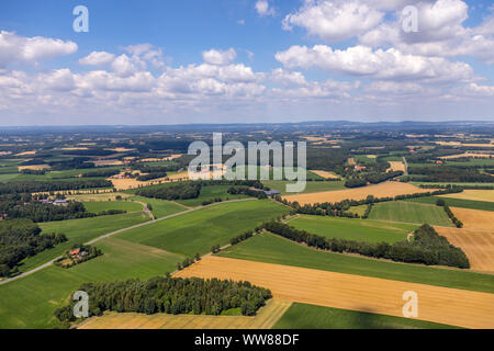 Luftaufnahme, Felder und Wiesen in der Nähe von Milte, MÃ¼nsterland Gerstenbrock, Warendorf, Nordrhein-Westfalen, Deutschland, Europa Stockfoto