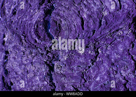 Ultra Violet Rinde mit einem Teil Fichte sieht aus wie ein Auge. Stockfoto
