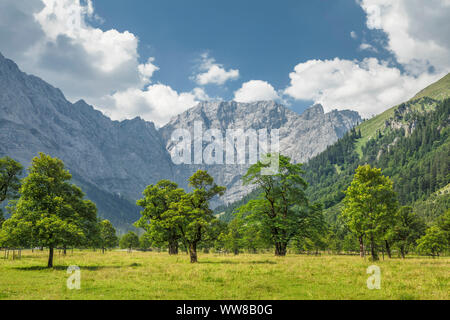 Großer Ahornboden gegen Karwendelgebirge, Eng, HinterriÃŸ, Tirol, Österreich Stockfoto