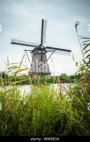 Blick auf traditionelle holländische Windmühle und Landschaft von Kinderdijk Niederlande gesehen Stockfoto