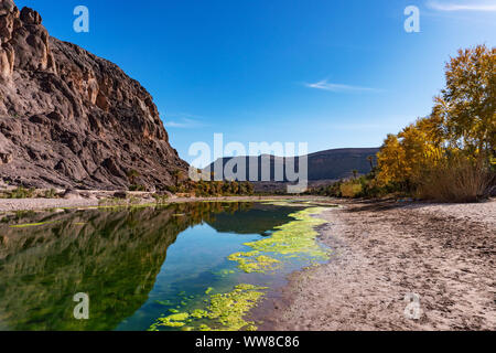 Frische Flusses im schönen Oase in der Wüste Natur Landschaft in der Nähe von Oasis De Fint Ourzazate in Marokko, Nordafrika Stockfoto