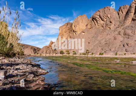 Frische Flusses im schönen Oase in der Wüste Natur Landschaft in der Nähe von Oasis De Fint Ourzazate in Marokko, Nordafrika Stockfoto