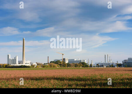 Laa an der Thaya, chemische Fabrik Jungbunzlauer in Pernhofen Wein im Weinviertel (Viertel), Lower Austria, Austria Stockfoto