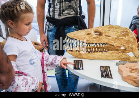 Moskau, Russland. 13 Sep, 2019. Ein Mädchen schaut ein Fossil in den Paläontologen Zelt während der russischen Geographischen Gesellschaft Festival in Zaryadye Park in Moskau, Russland, Sept. 13, 2019. Die 4. Russische Geographische Gesellschaft Festival ist von Sept. 13 bis Sept. 22 in Moskau statt. Die Besucher werden in der Lage sein mit der vielfältigen Natur- und Kulturerbe in Russland während des Festivals vertraut zu machen. Quelle: Maxim Chernavsky/Xinhua Stockfoto