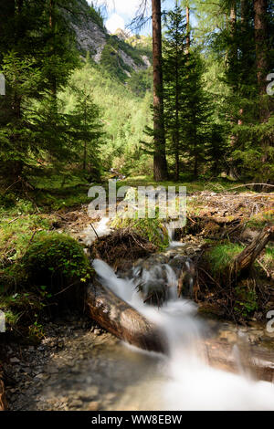 Lechtaler Alpen, Lechtaler Alpen, Bach, Wald, Whirlpool, Region TirolWest, Tirol, Österreich Stockfoto