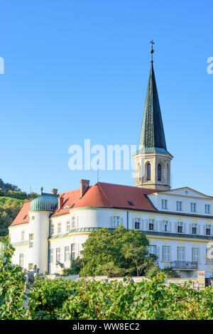 Gumpoldskirchen, Deutschordensschloss (Deutsch Um Burg), Weinberg, Wein, Wienerwald, Wienerwald, Niederösterreich, Österreich Stockfoto