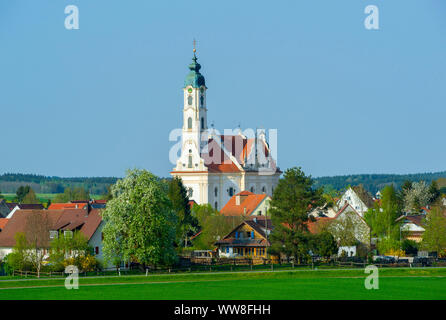 Deutschland, Baden-württemberg, Bad Schussenried, Steinhausen, Wallfahrtskirche der Muttergottes und die Pfarrkirche t. Peter und Paul', Baumeister 'Dominikus Zimmermann', die schönste Dorfkirche der Welt angesehen. Stockfoto