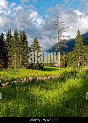 Sturm am Abend über die Silvretta Gruppe im Zentrum der Alpen zwischen der Schweiz und Österreich. Stockfoto