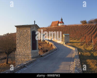 Wallfahrtskirche Maria im Weingarten und Weinberge in der Nähe von Volkach, Unterfranken, Bayern, Deutschland Stockfoto